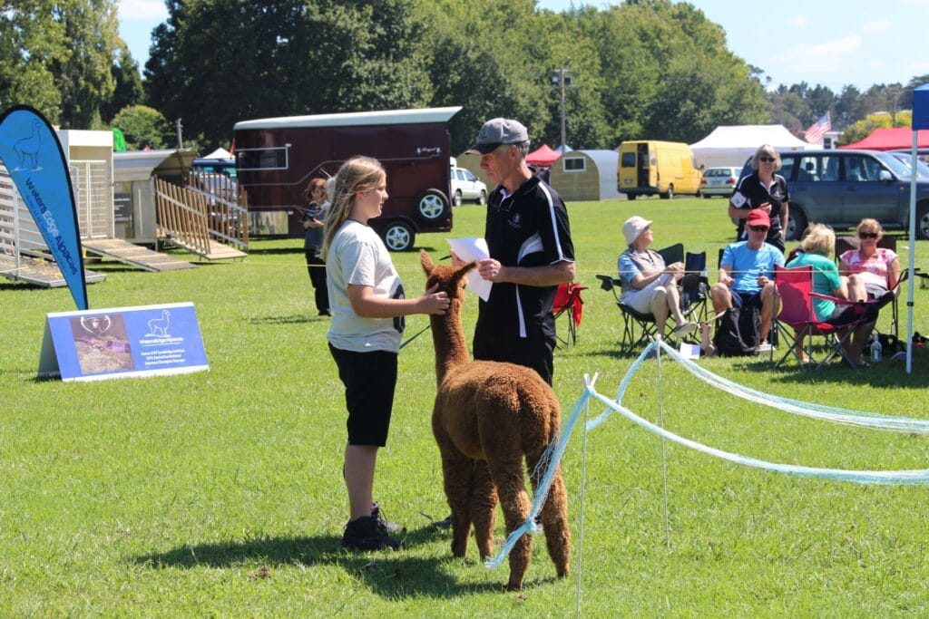 Janus is leading Joey in the ring