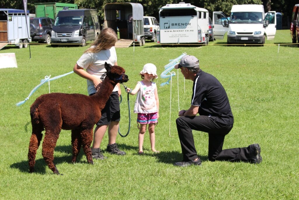 Jolan is leading Mocha