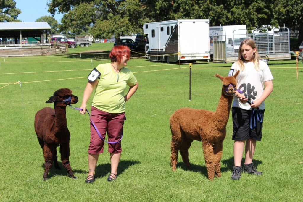 Tatjana with Mochaccino and Janus with Joey in the judging ring