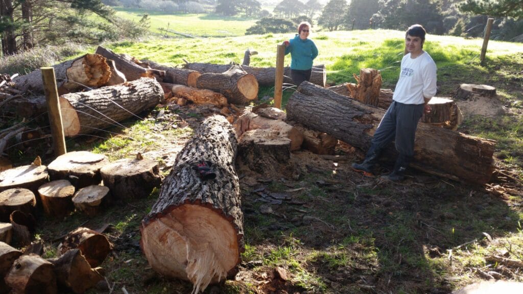 Our lovely Guest Dario was helping us. In the background Tatjana.