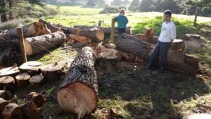 Our lovely Guest Dario was helping us. In the background Tatjana.