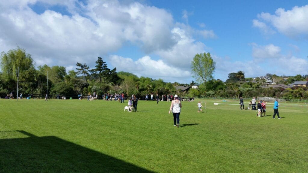 The school back field in the early morning