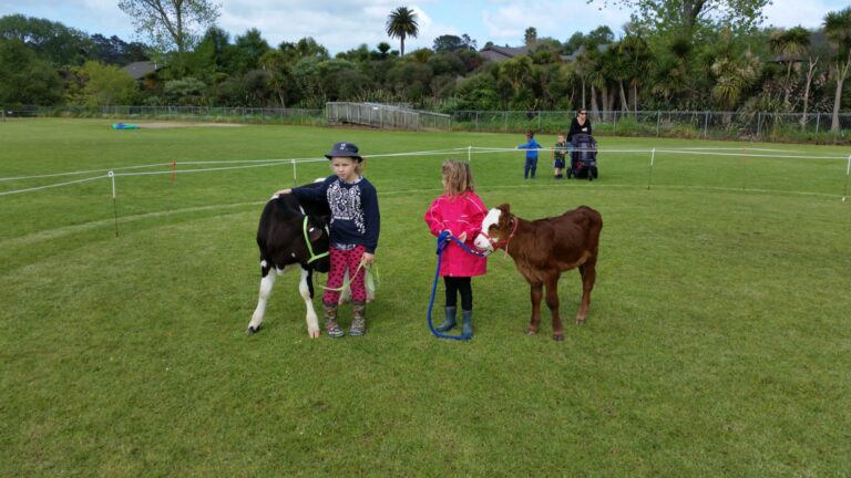 Both junior calf handlers on the day