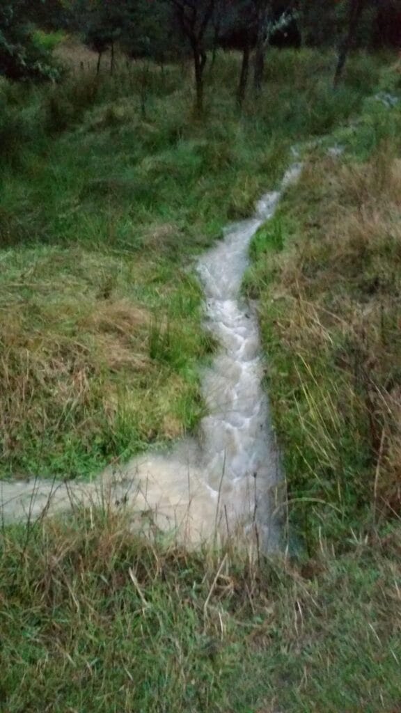 Water coming down from the bush and gully