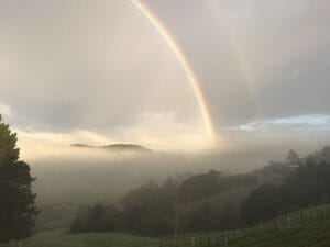 A rainbow rising through the fog at our place this morning