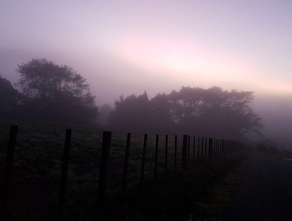 Fog in the paddocks at sunrise
