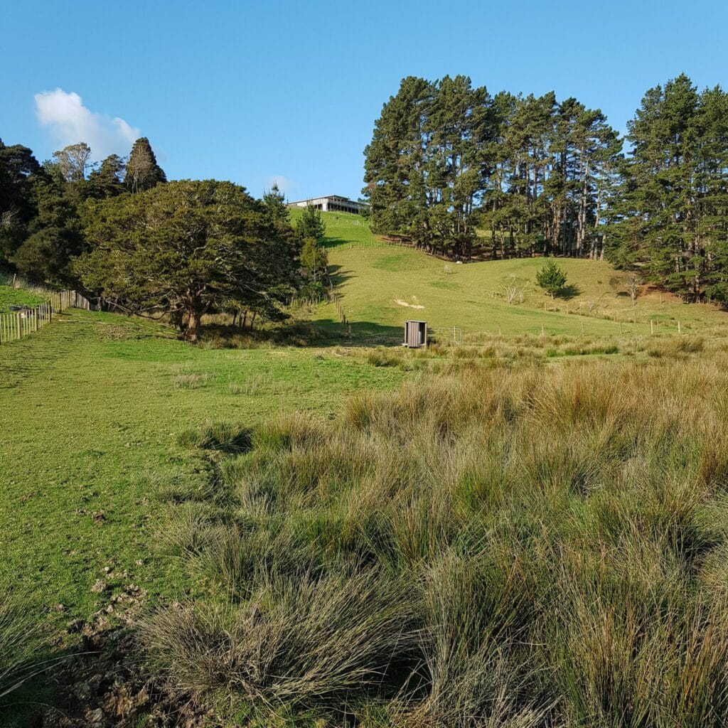 View up to the house