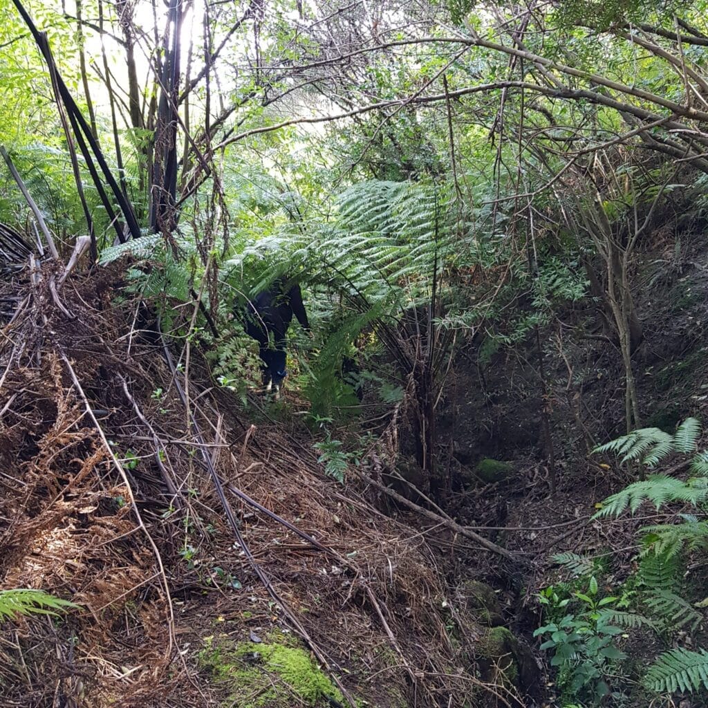Woman pushing her way through bush