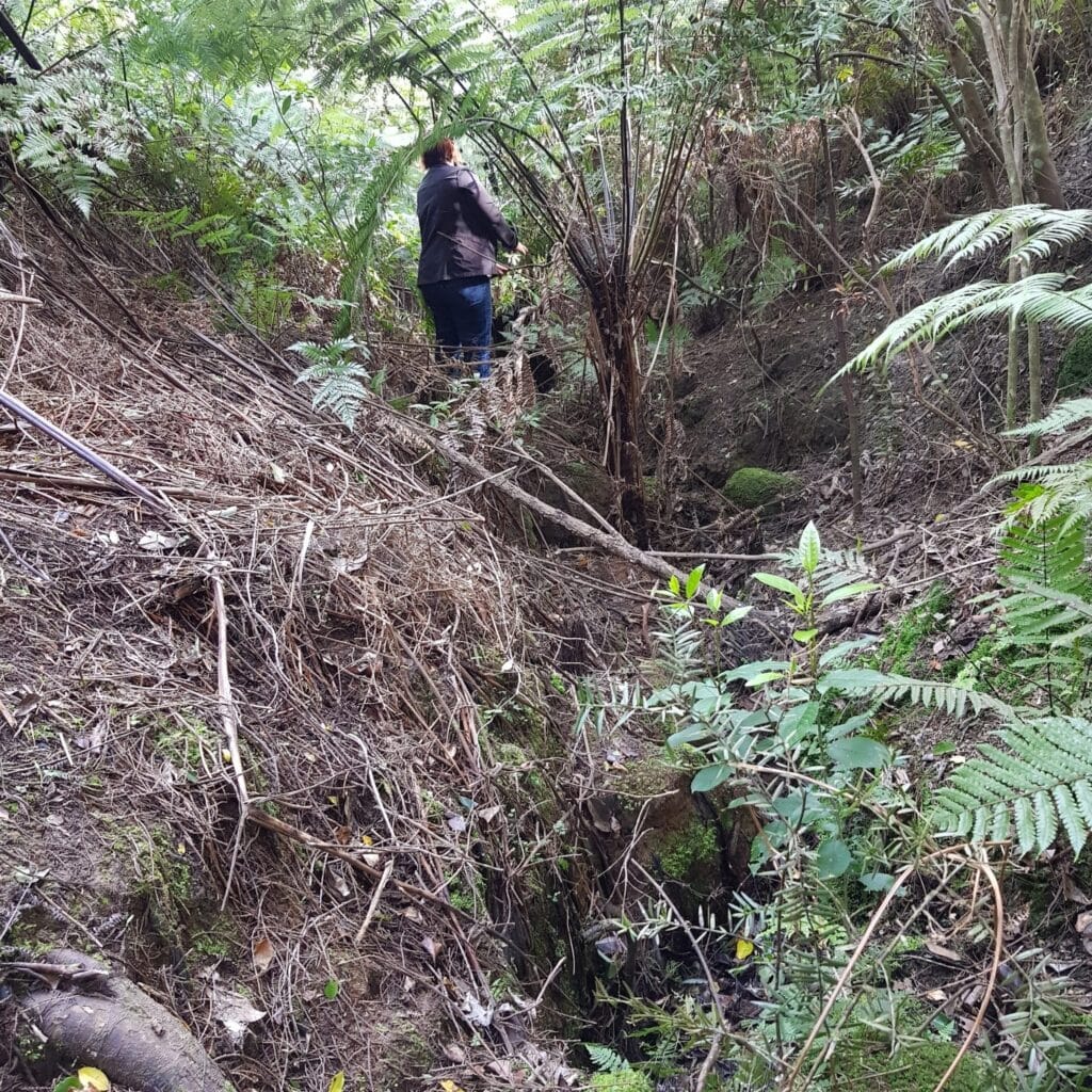 Woman pushing her way through bush
