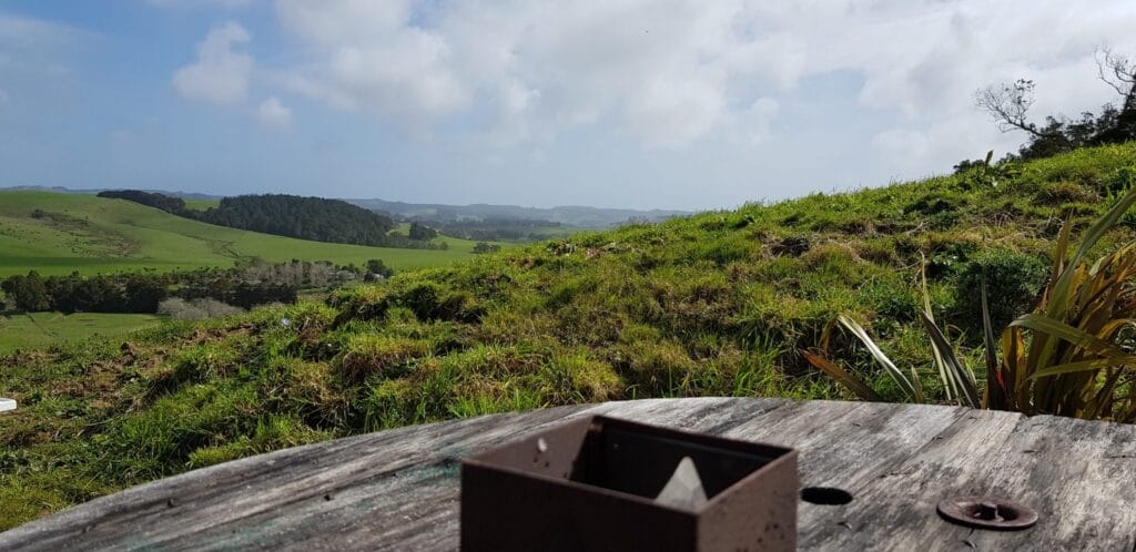 View into the distance across the Kaipara river valley with trees and some sheds in the very far distance
