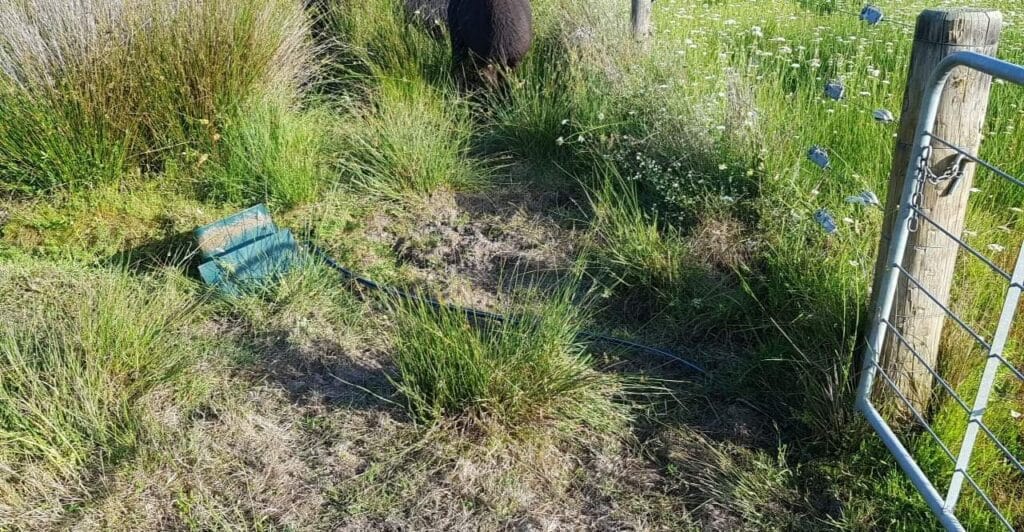 Reinstated water trough this time on the other side