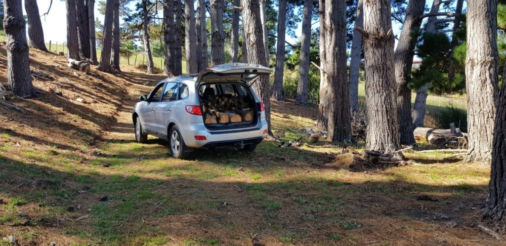 SUV in the forest with tailgate open, fully loaded with small and big chunks of wood