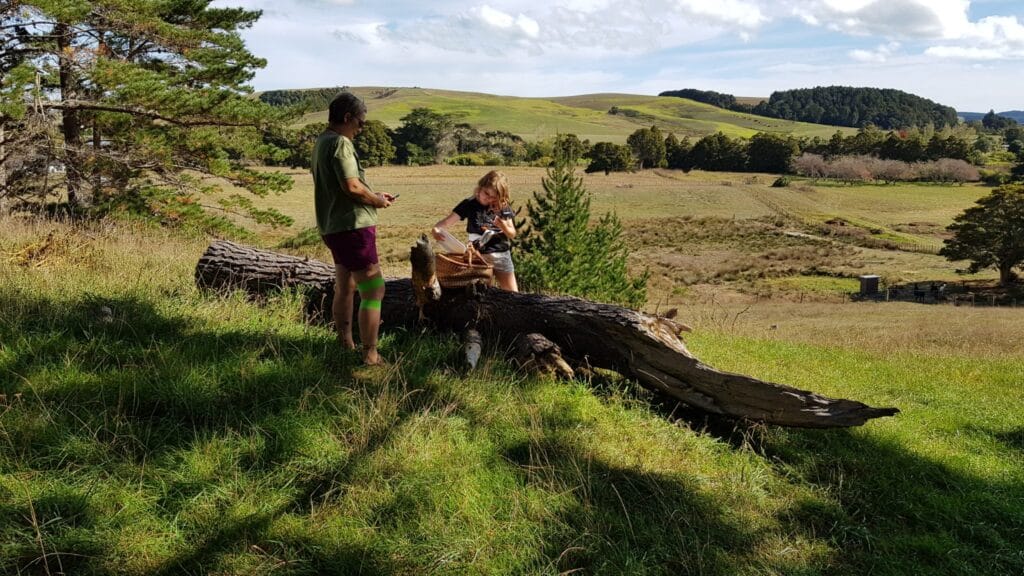 Easter Egg Hunt in the forest