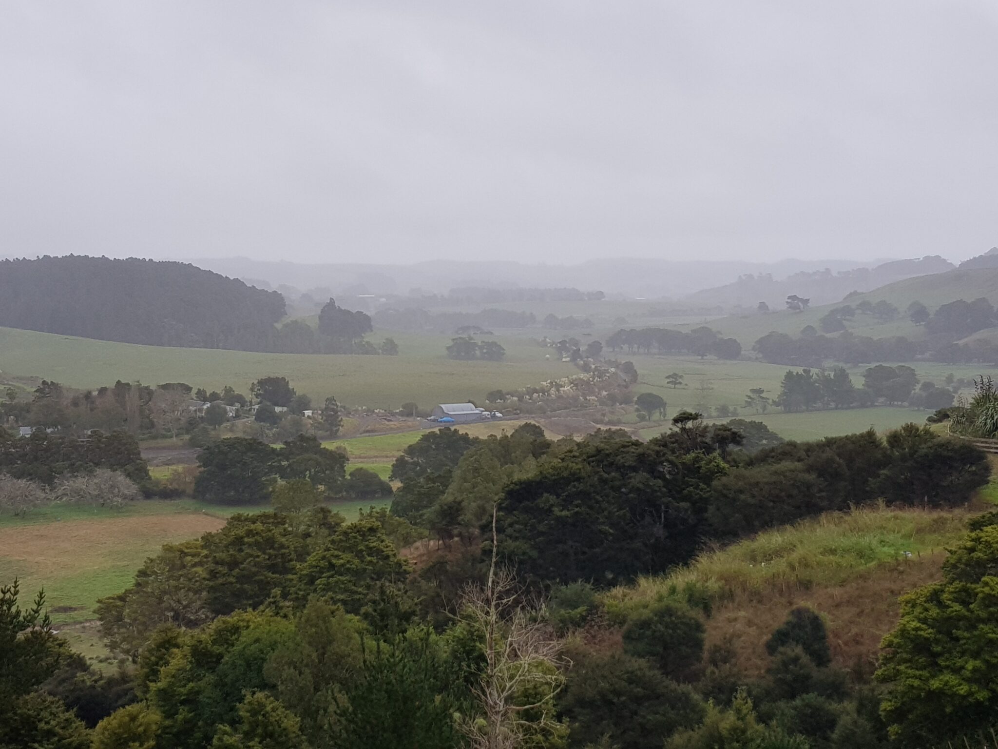 Rainly Kaipara Valley