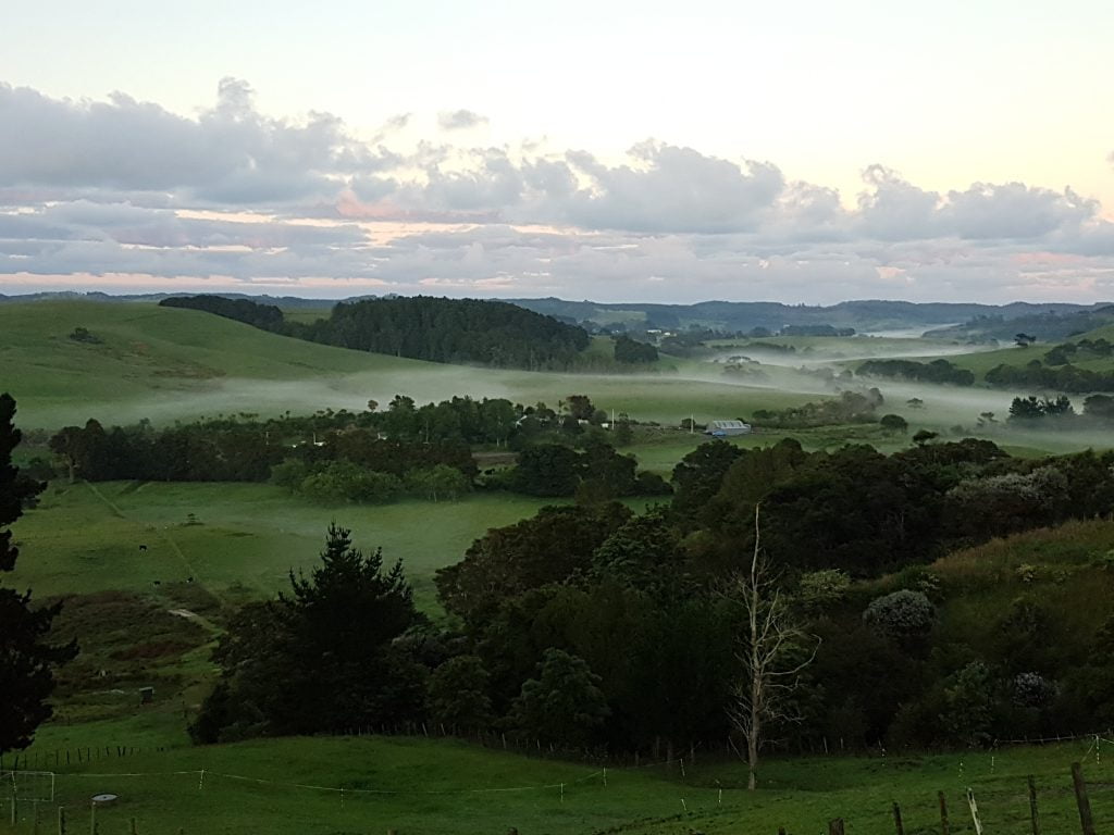 Foggy Morning valley
