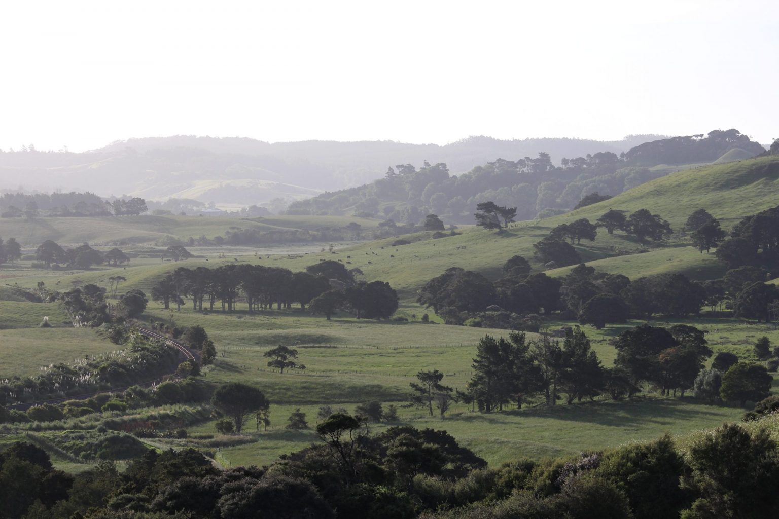Kaipara Valley views with green paddocks and trees along the river