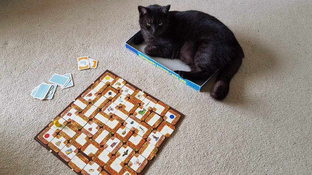 Ziggy cat sleeping in the game box next to the game