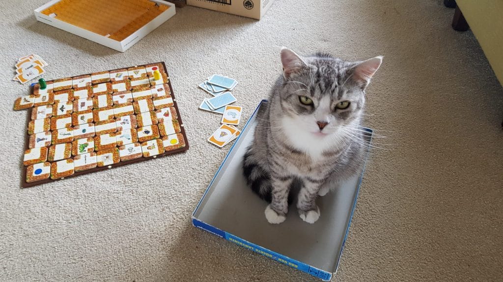 Silver, our mommy kitty, likes to try a box at times too