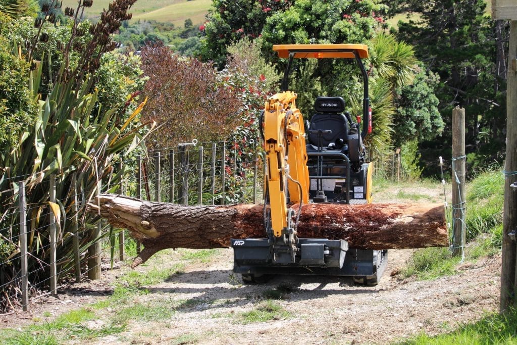 Little yellow 1.7 ton digger on the farm track with big log in the bucket as wide as the track, just fitting through between fence post my centimeters.