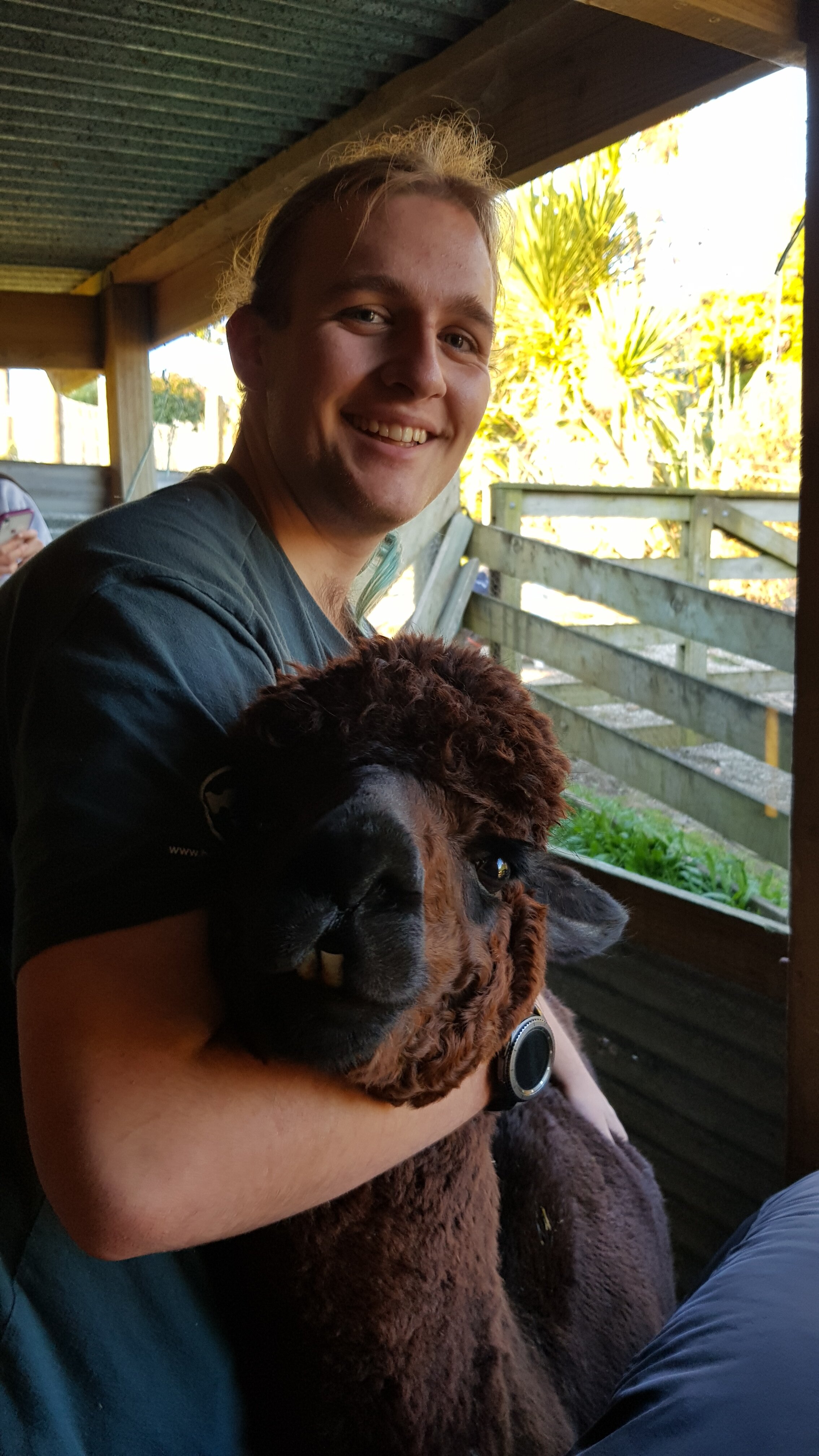 Person holding a rather fluffy alpaca head