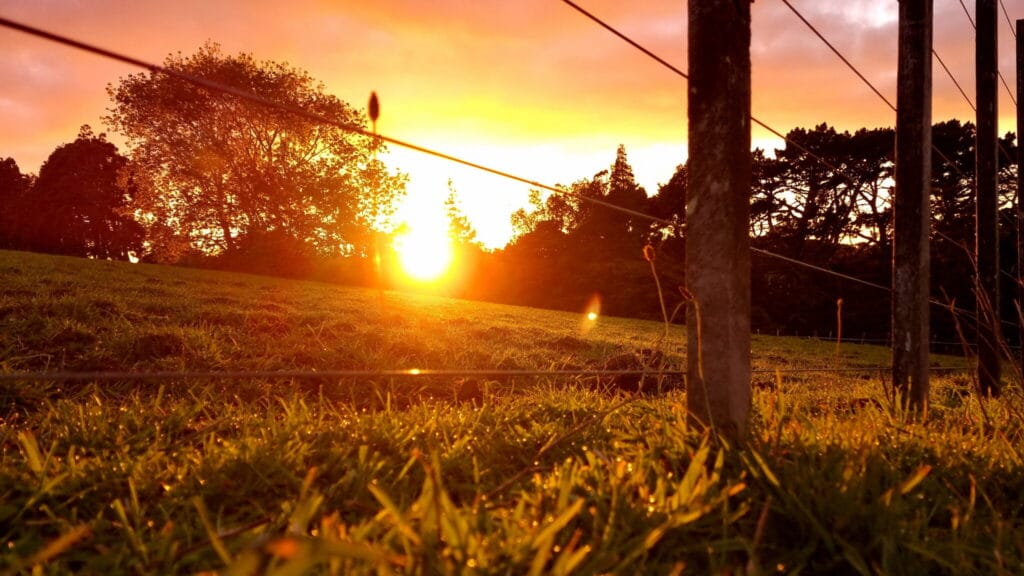 Orange runrise through blurry fencing wire in the foreground