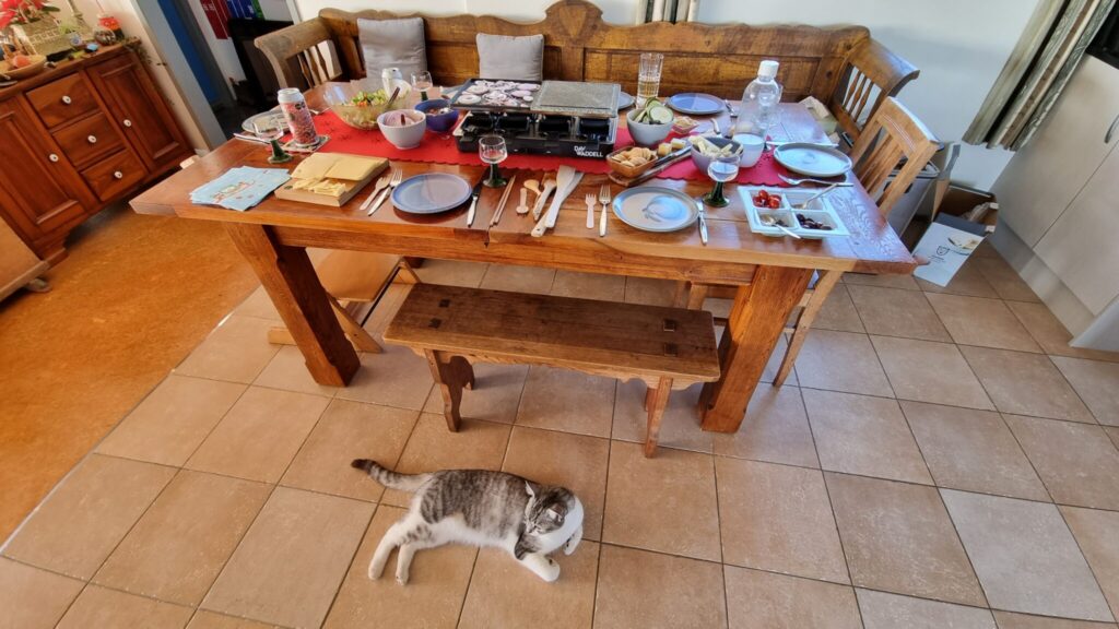 dinner table with plenty of food on and a cat laying in front on the floor