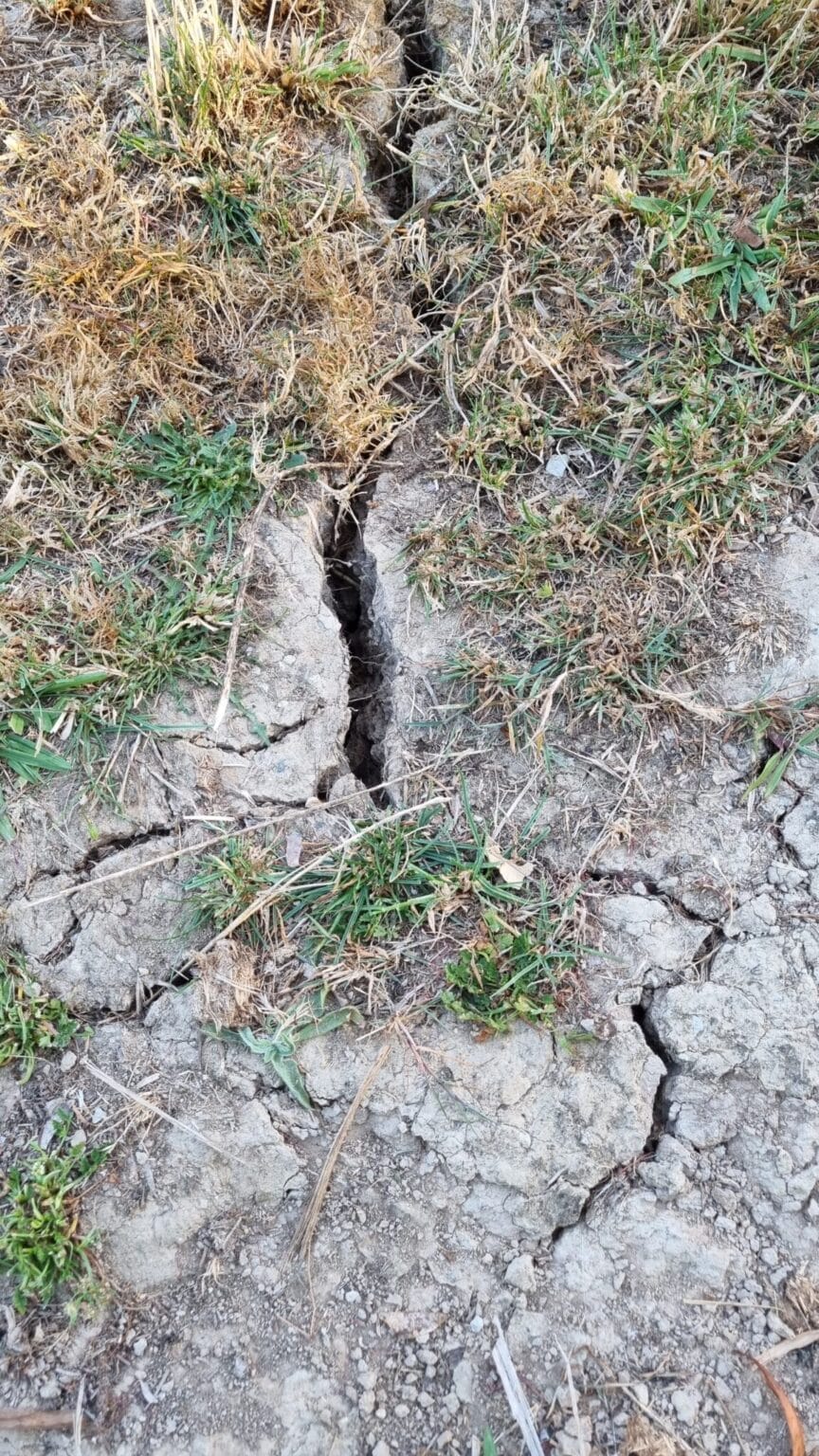 deep cracks on the dry ground with some brown leftovers of grass