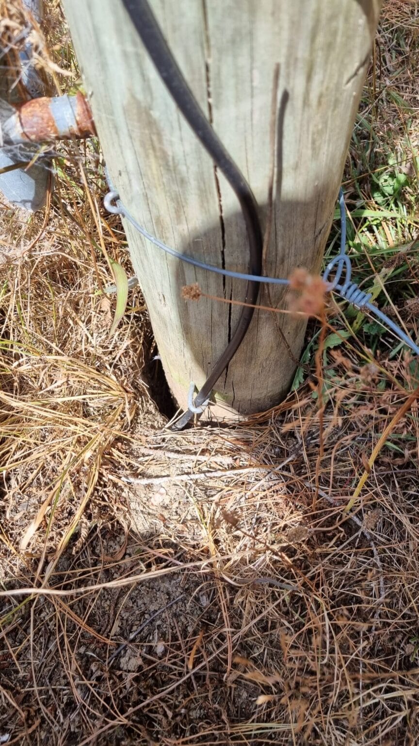 Shrunk ground with large gaps around a timber fence post