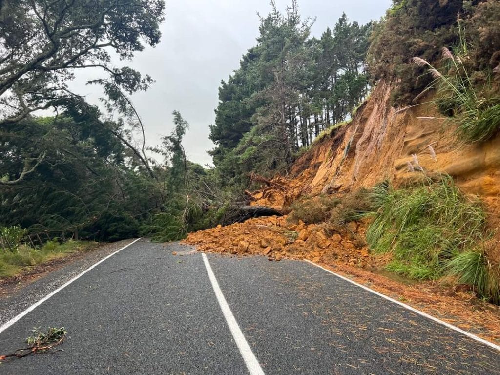 Image Courtesy of Vector