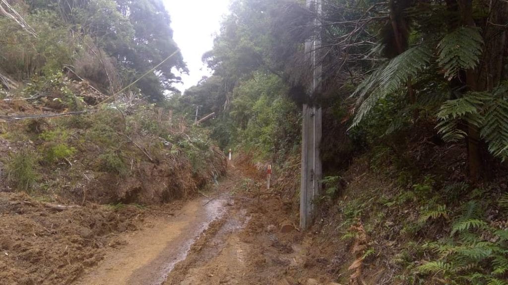 Image Courtesy of Vector