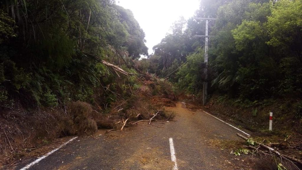 Image Courtesy of Vector