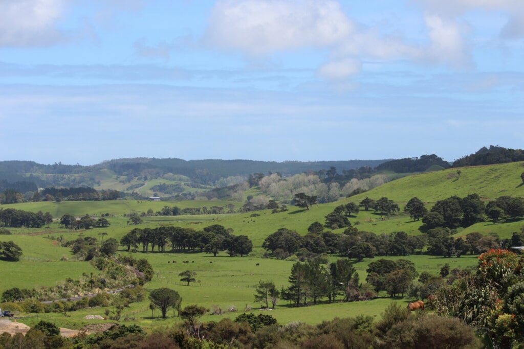 View of the Kaipara valley with green paddocks