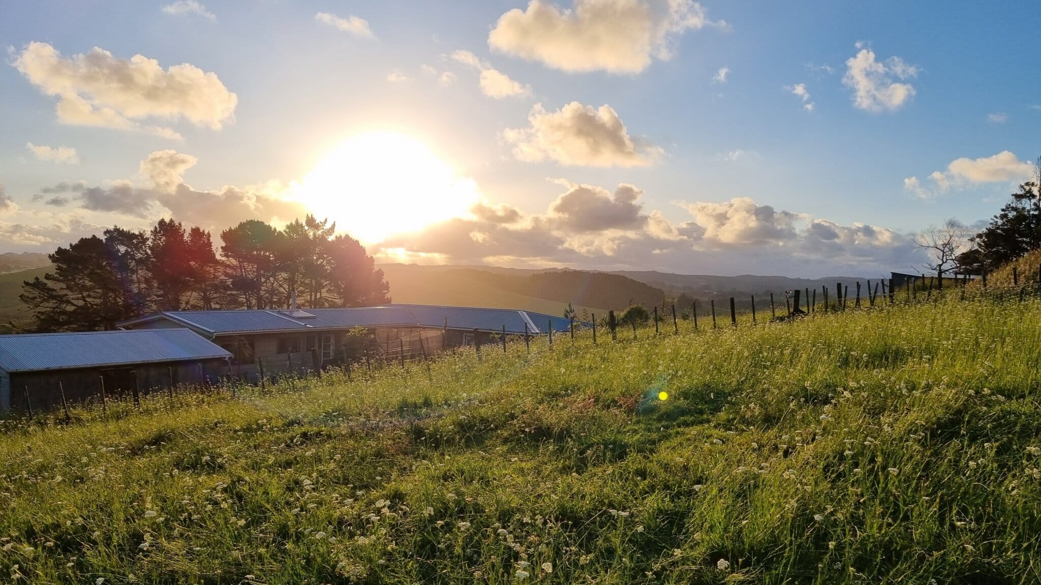 View across a lush green paddock with a house in the midground and sunset with lots of paddocks and forest behind in the background