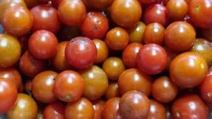 A picture full of little red tomatoes