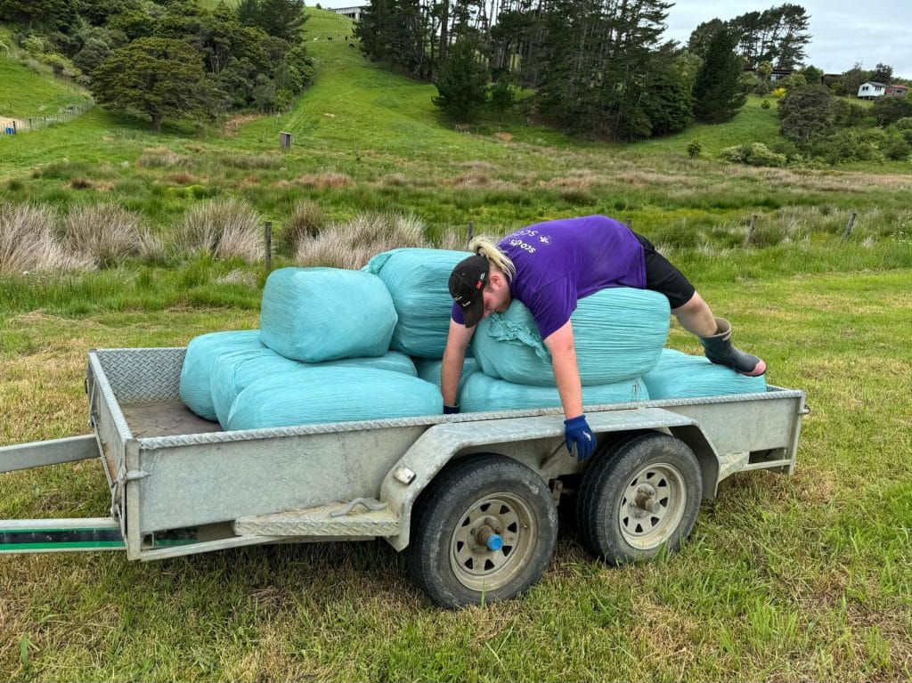 Person laying across bales on a trailer, looking dead