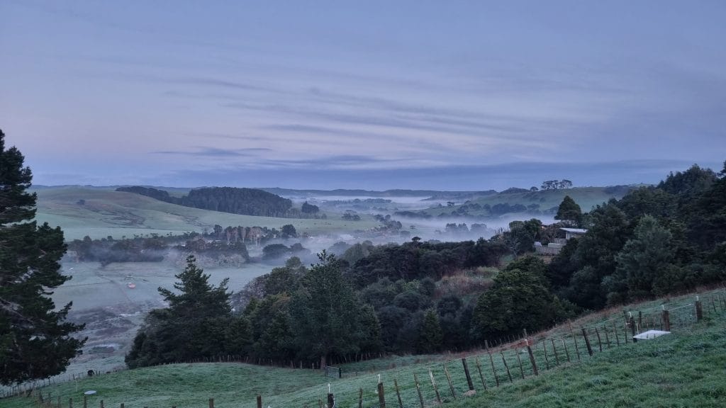 The valley with fog meandering through trees where the river runs