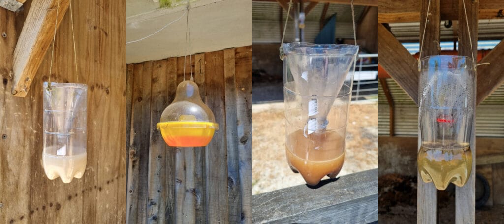 A photomontage of 4 different wasp traps made from coke bottle hung up